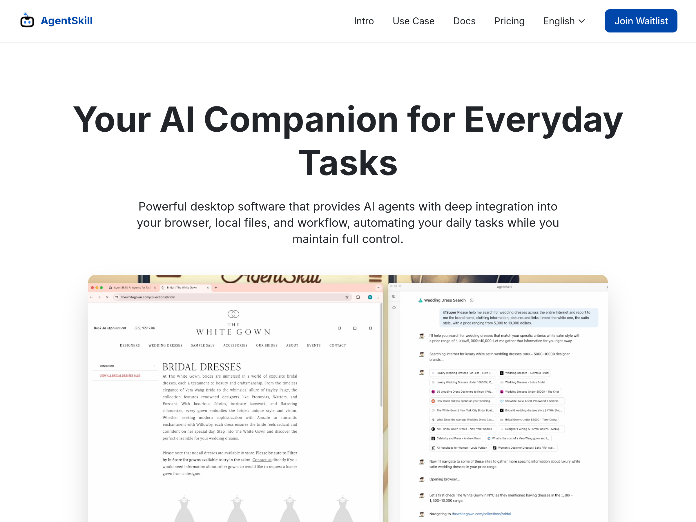Screenshot of AgentSkill website