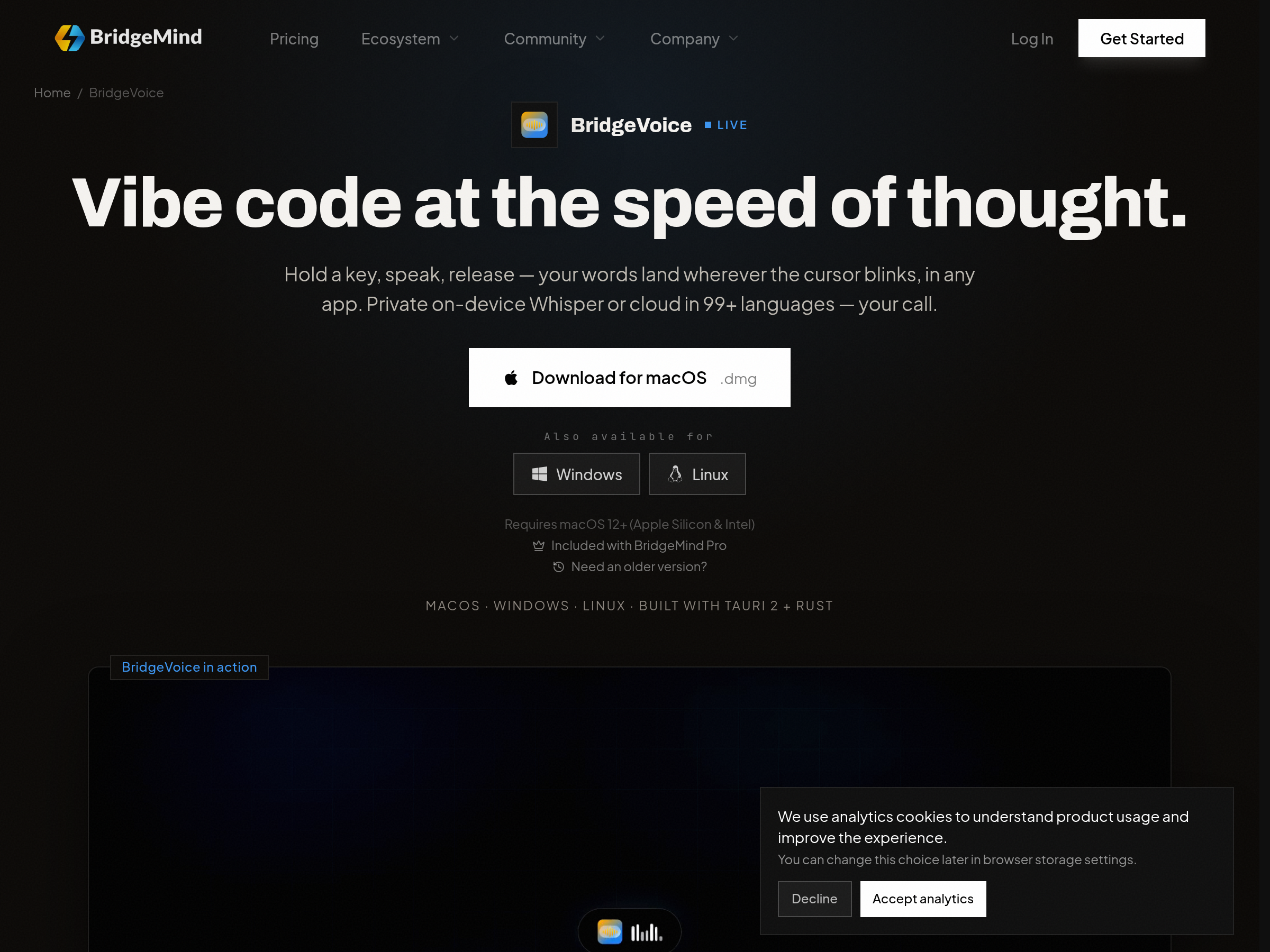 Screenshot of BridgeVoice website