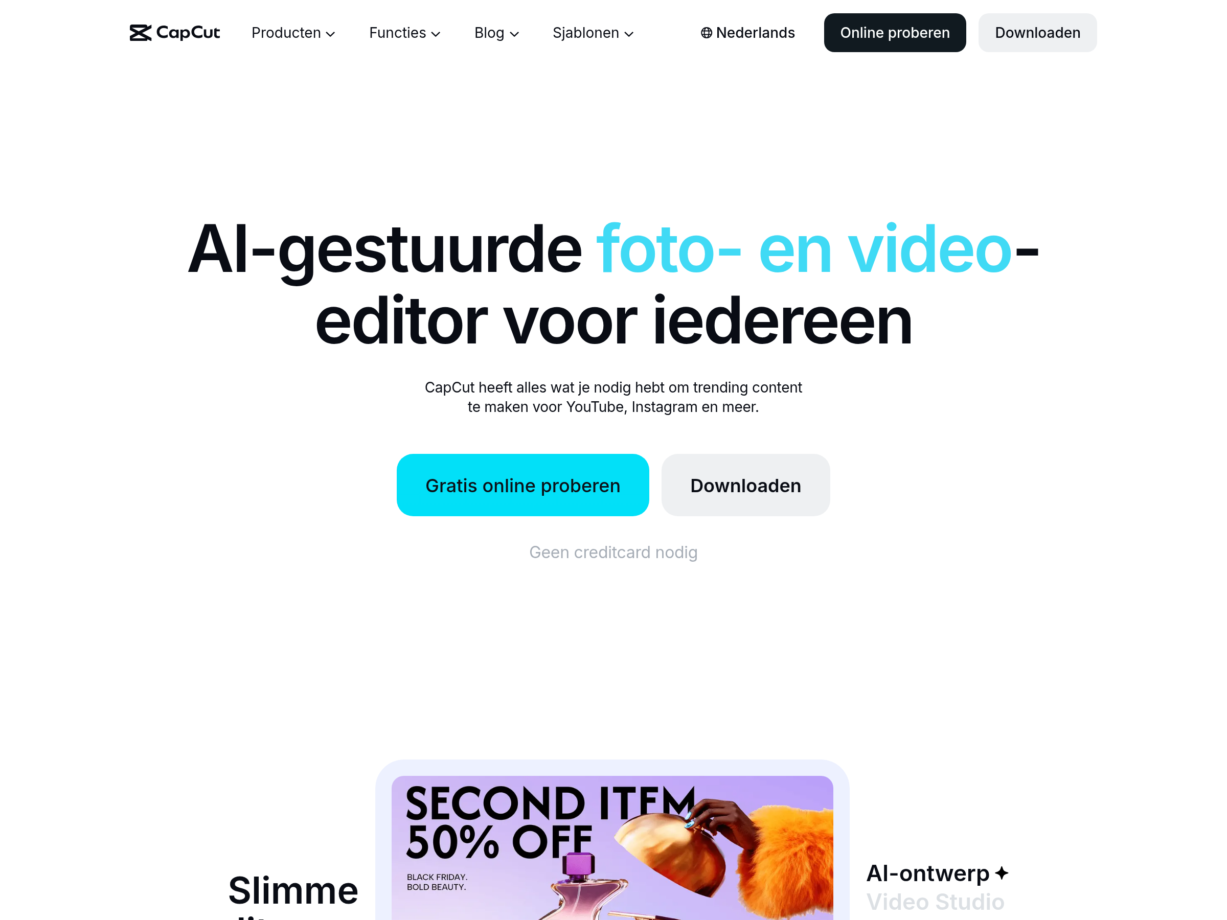 Screenshot of CapCut website