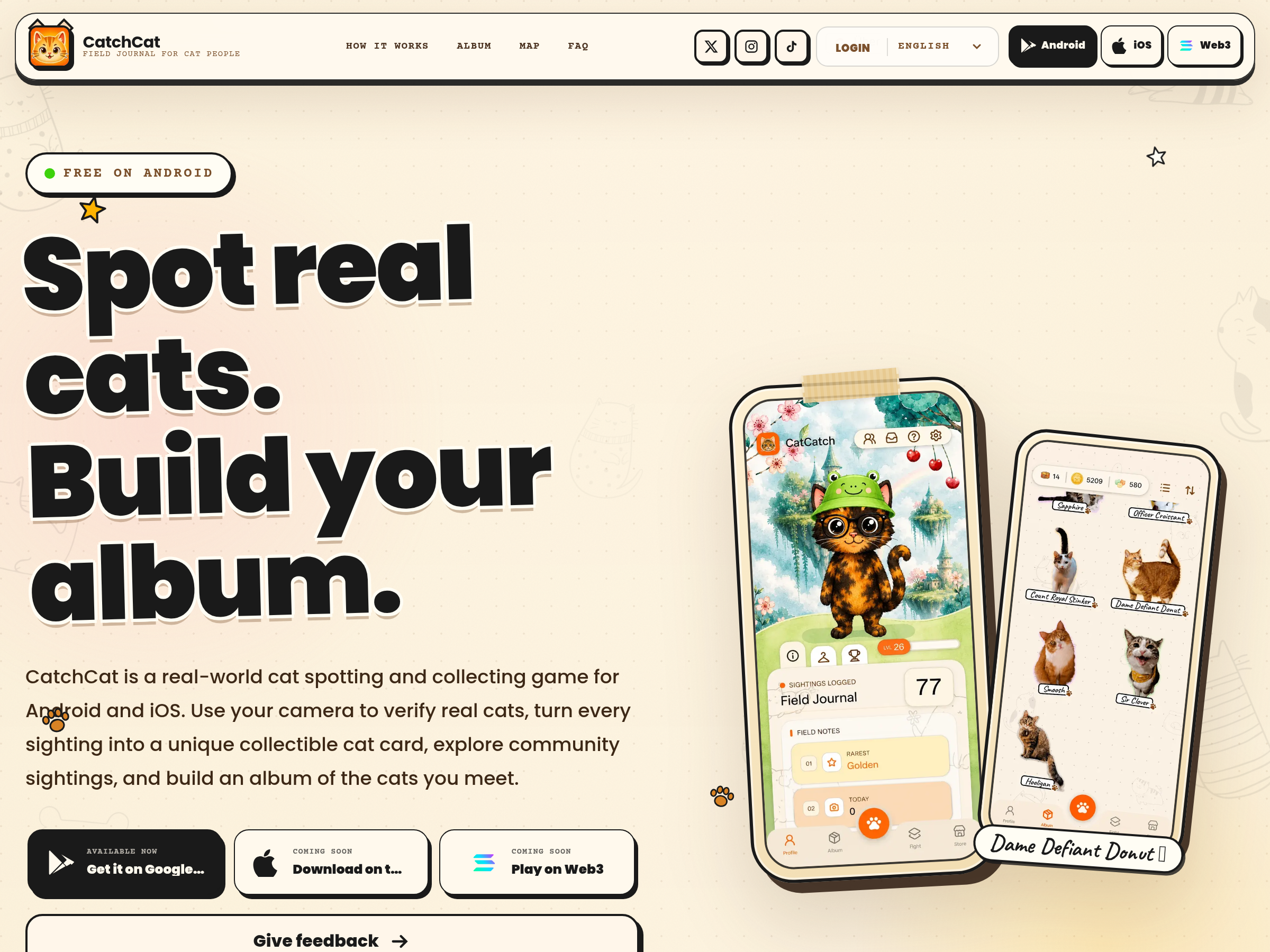 Screenshot of CatchCat website