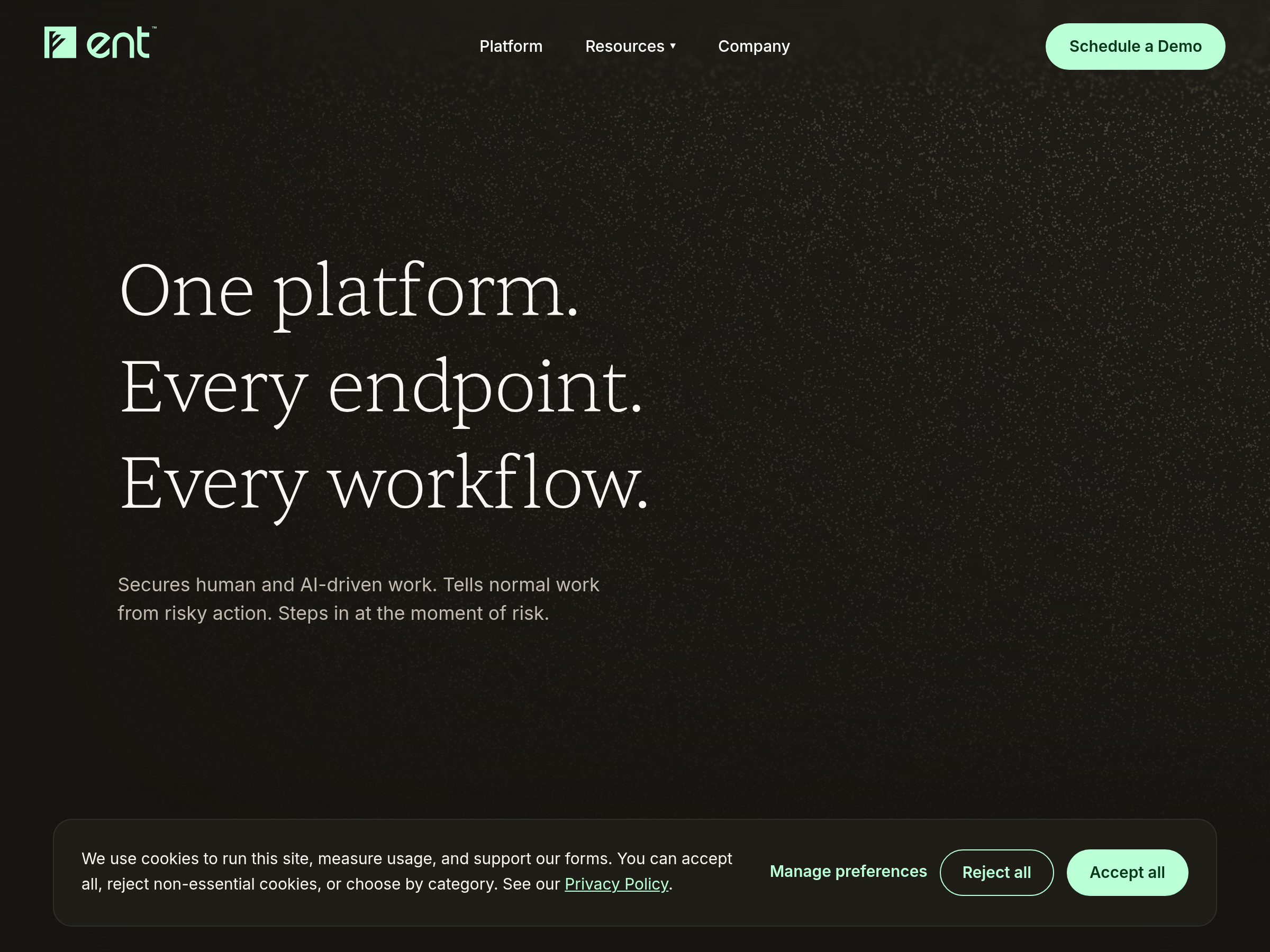 Screenshot of Ent website