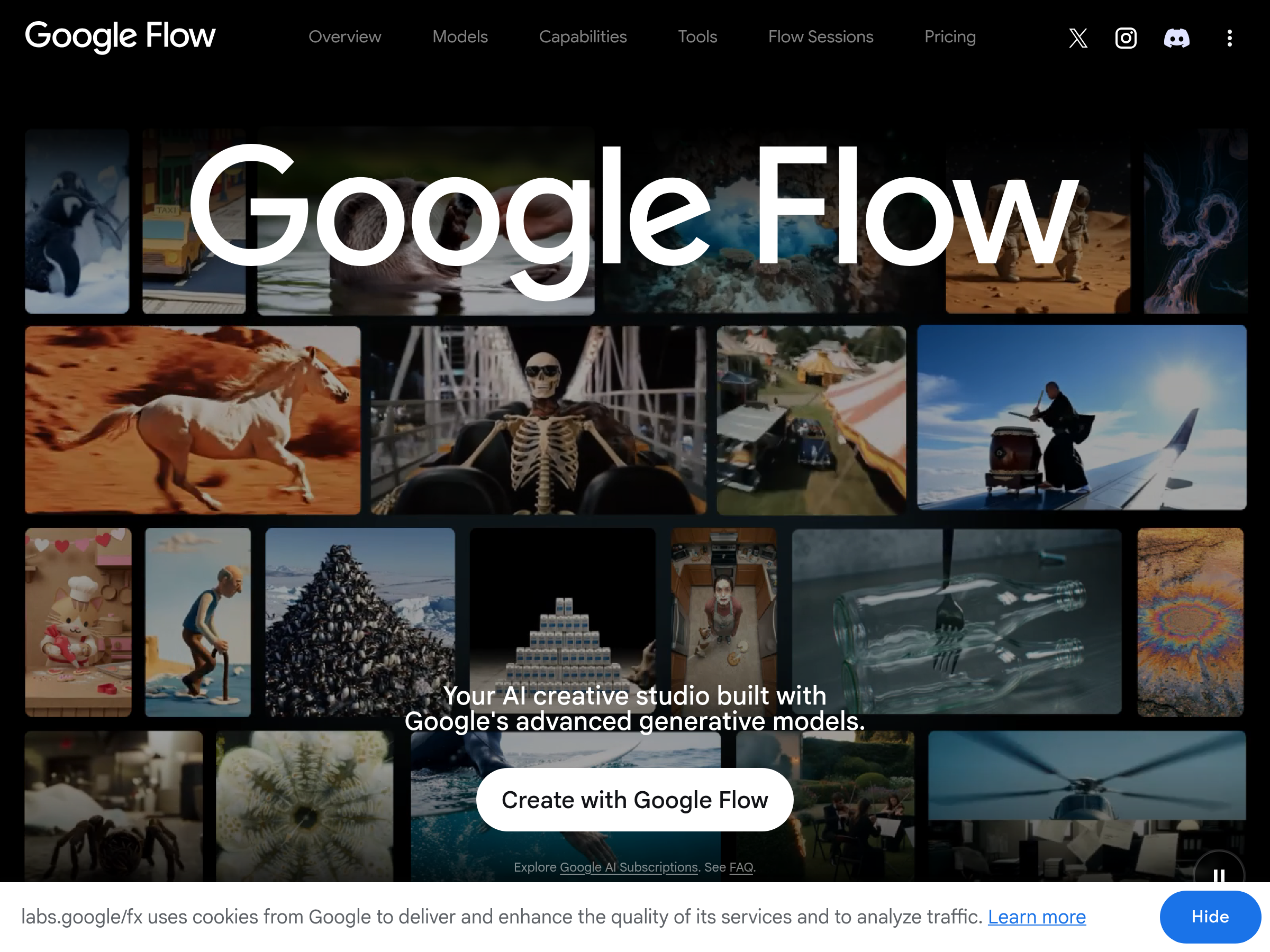 Screenshot of Google Flow Agent website