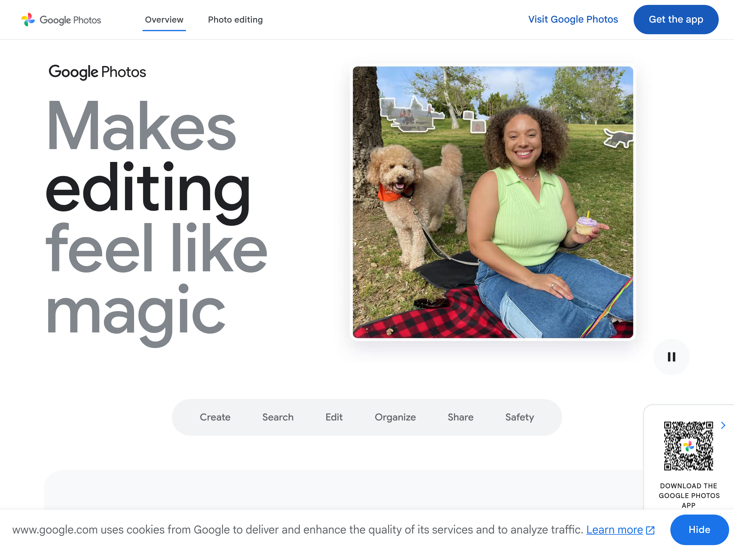 Screenshot of Google Pics website