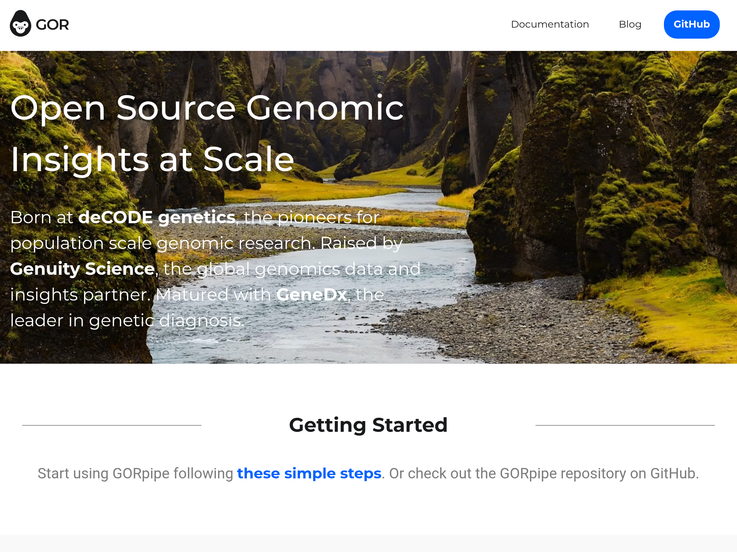 Screenshot of GORpipe website