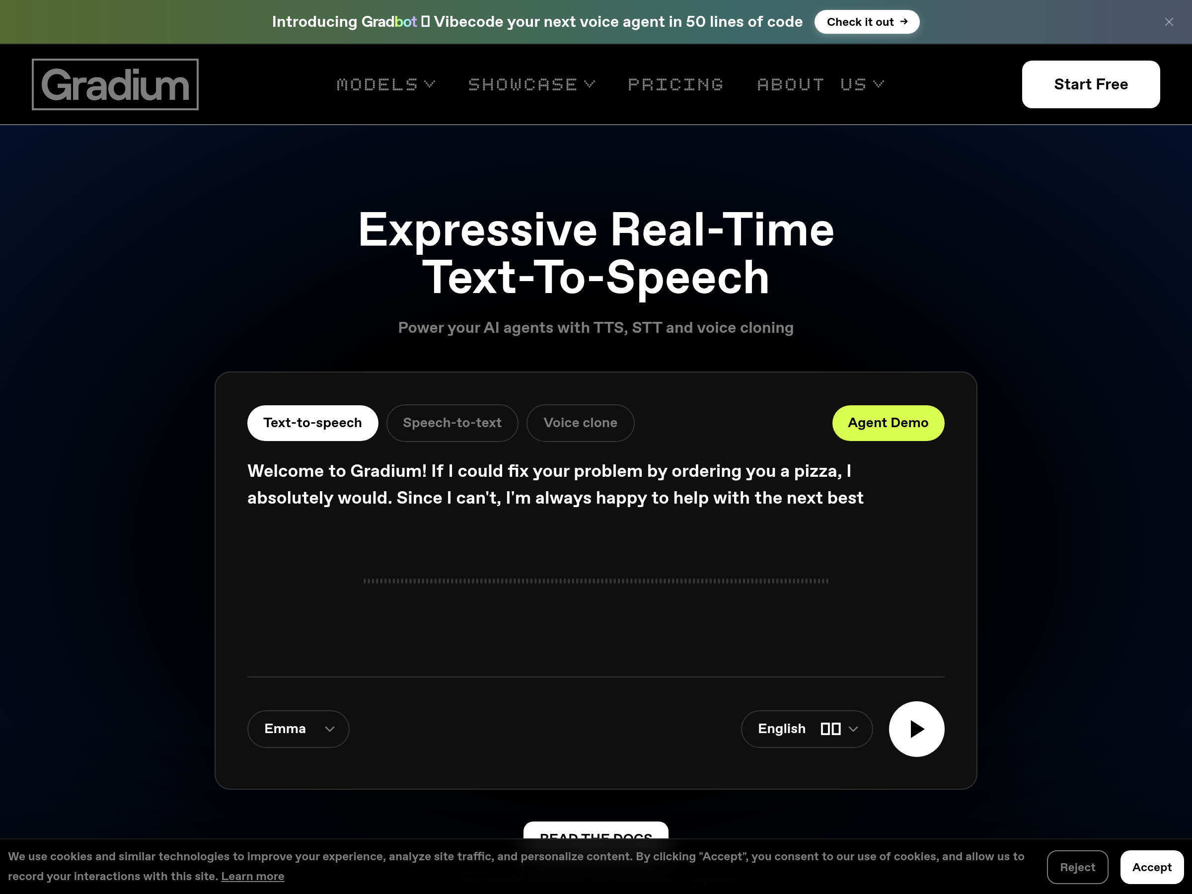 Screenshot of GradiumAI website