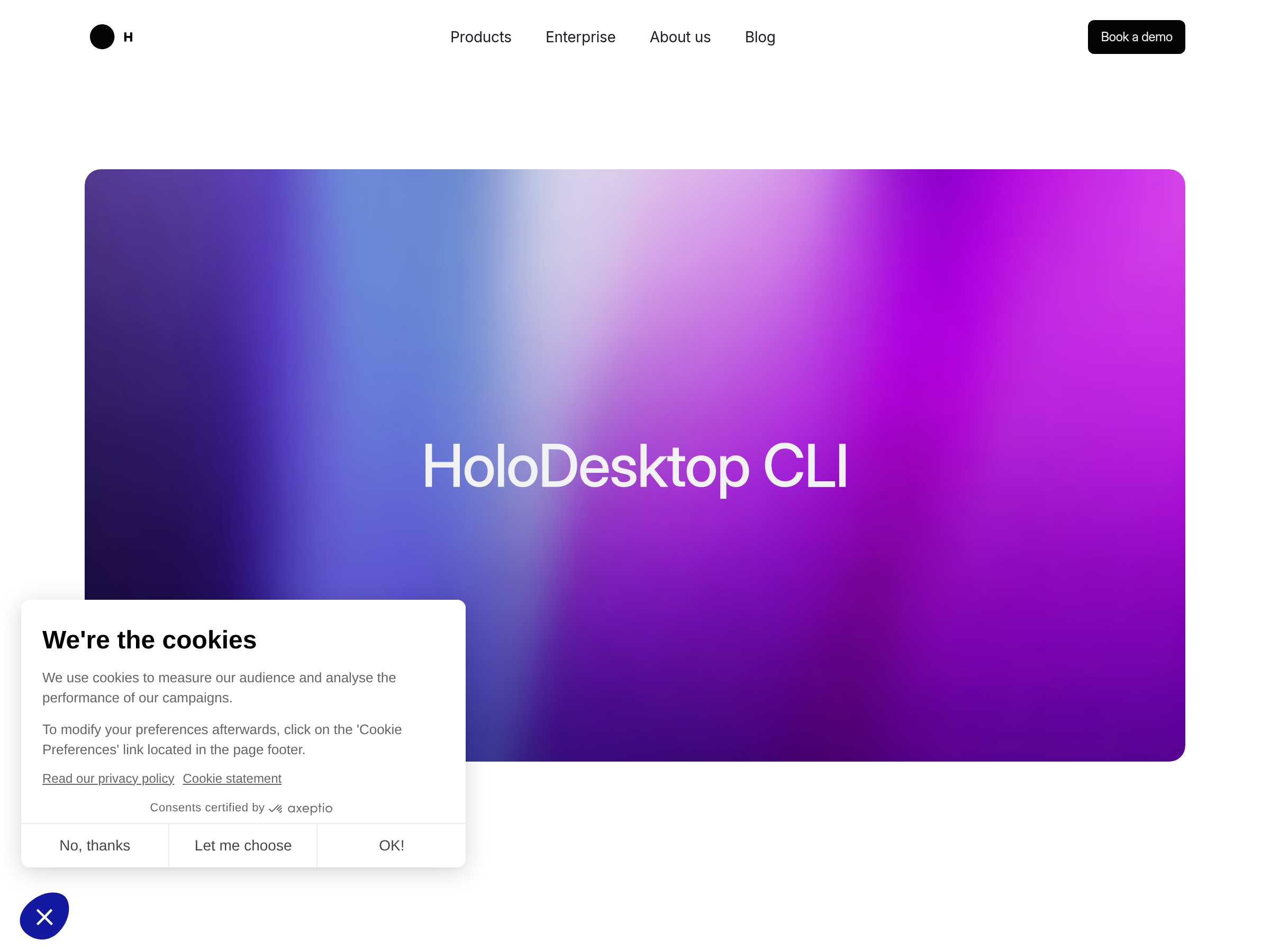 Screenshot of HoloDesktop CLI website