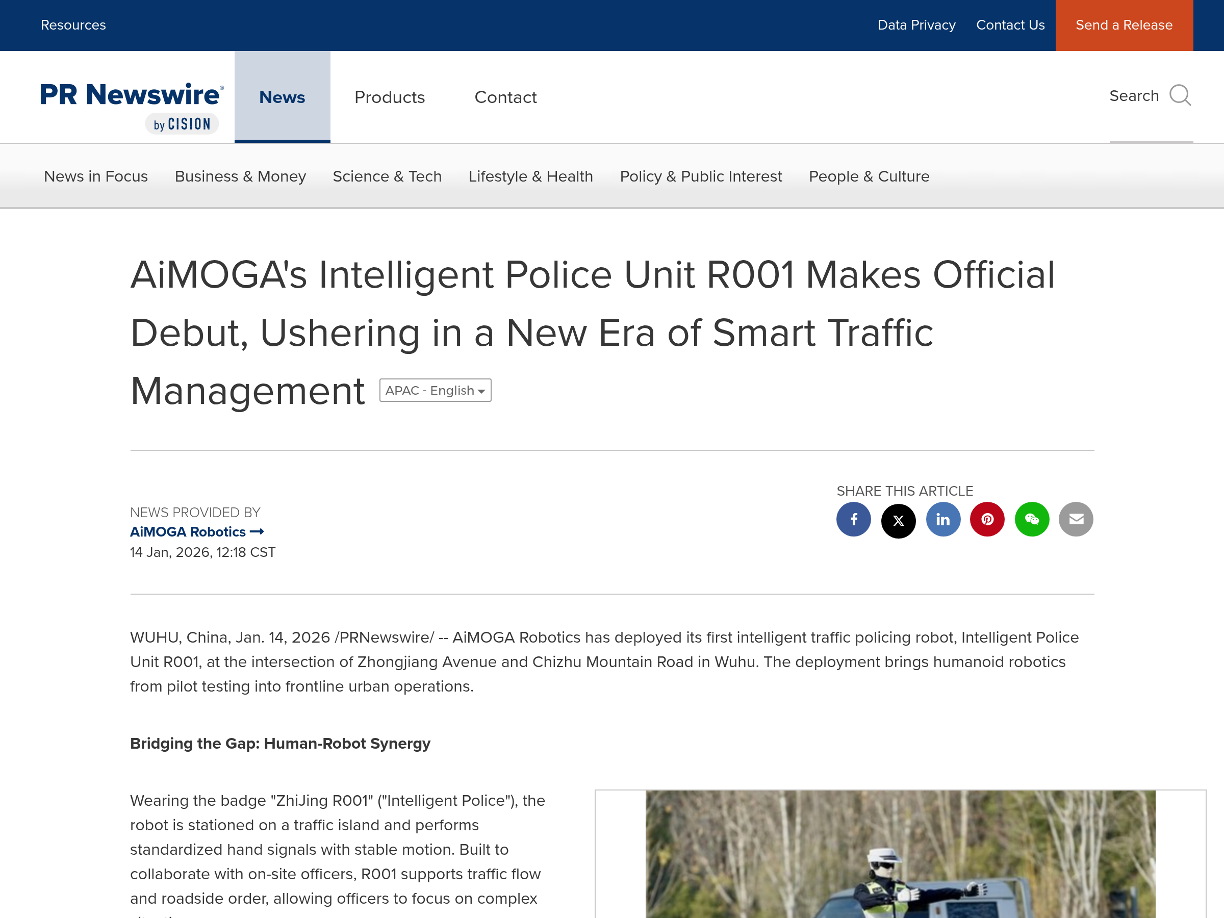 Screenshot of Intelligent Police Unit R001 website