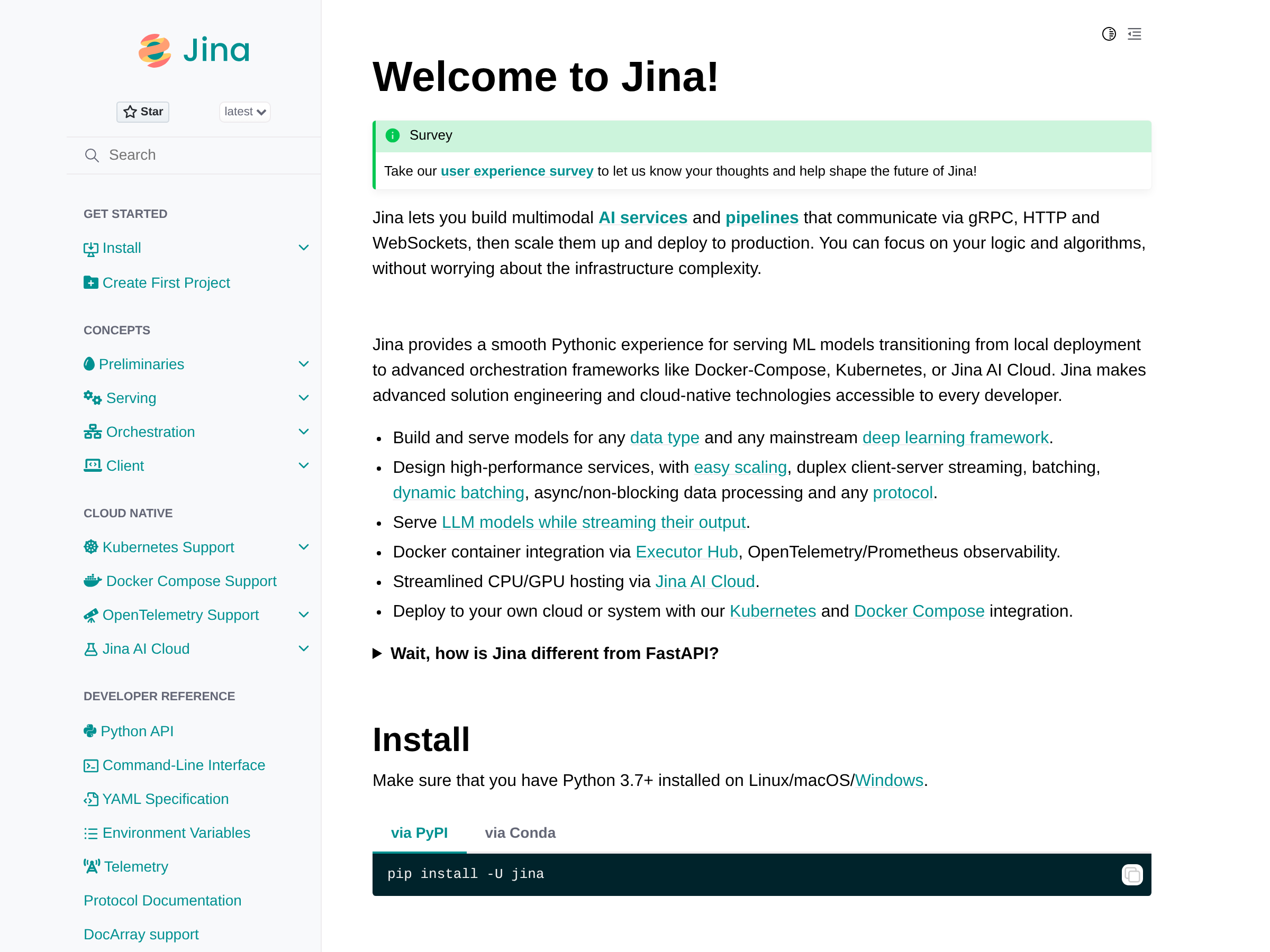Screenshot of Jina website