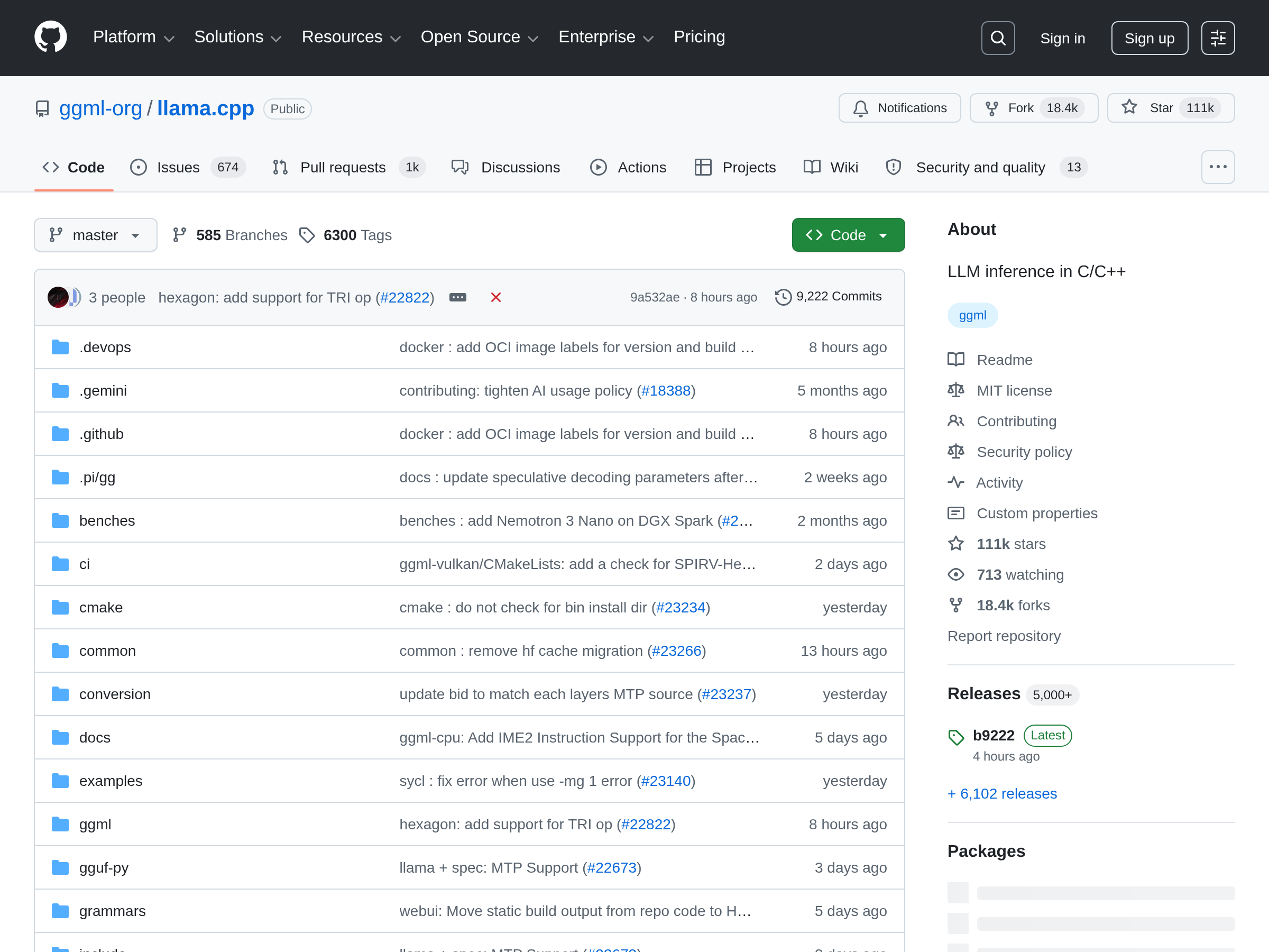 Screenshot of llama.cpp provider website