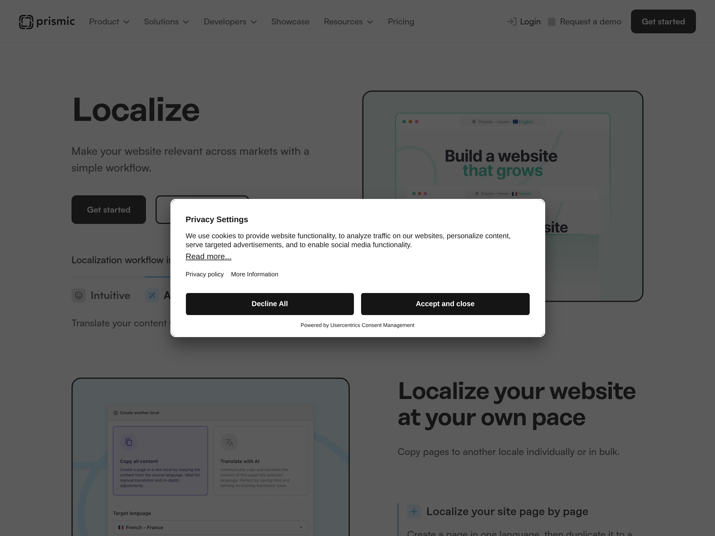 Screenshot of Localization website