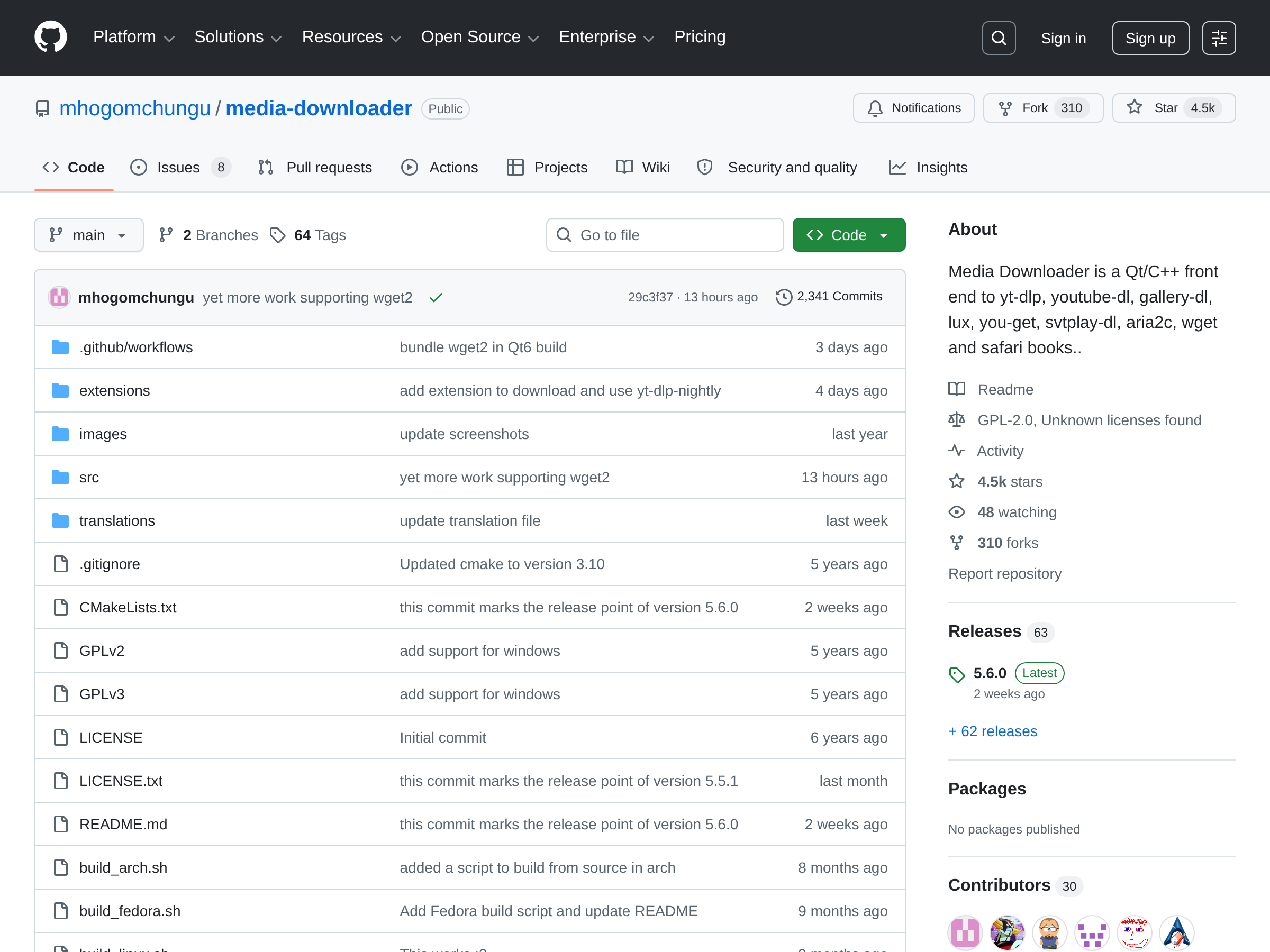 Screenshot of Media Downloader website