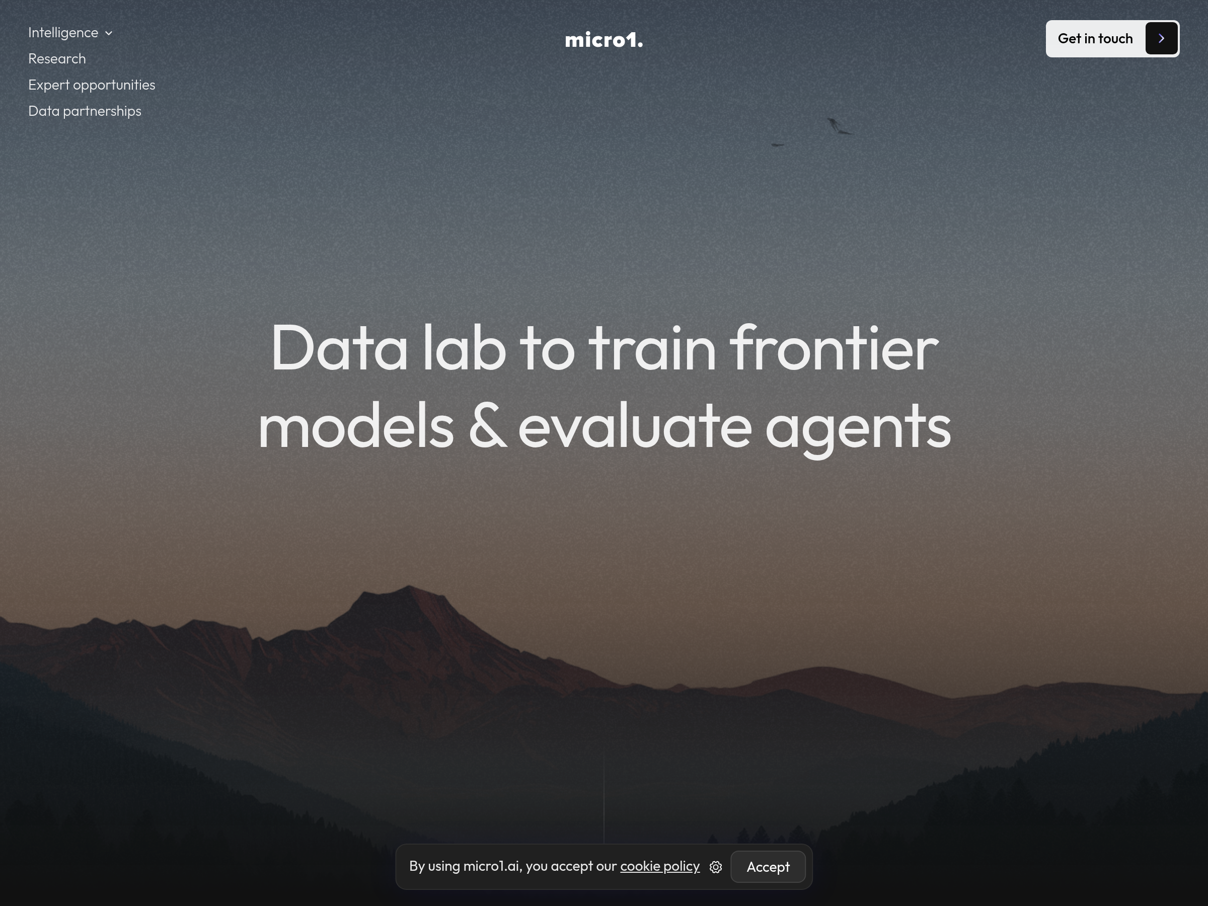 Screenshot of micro1 website