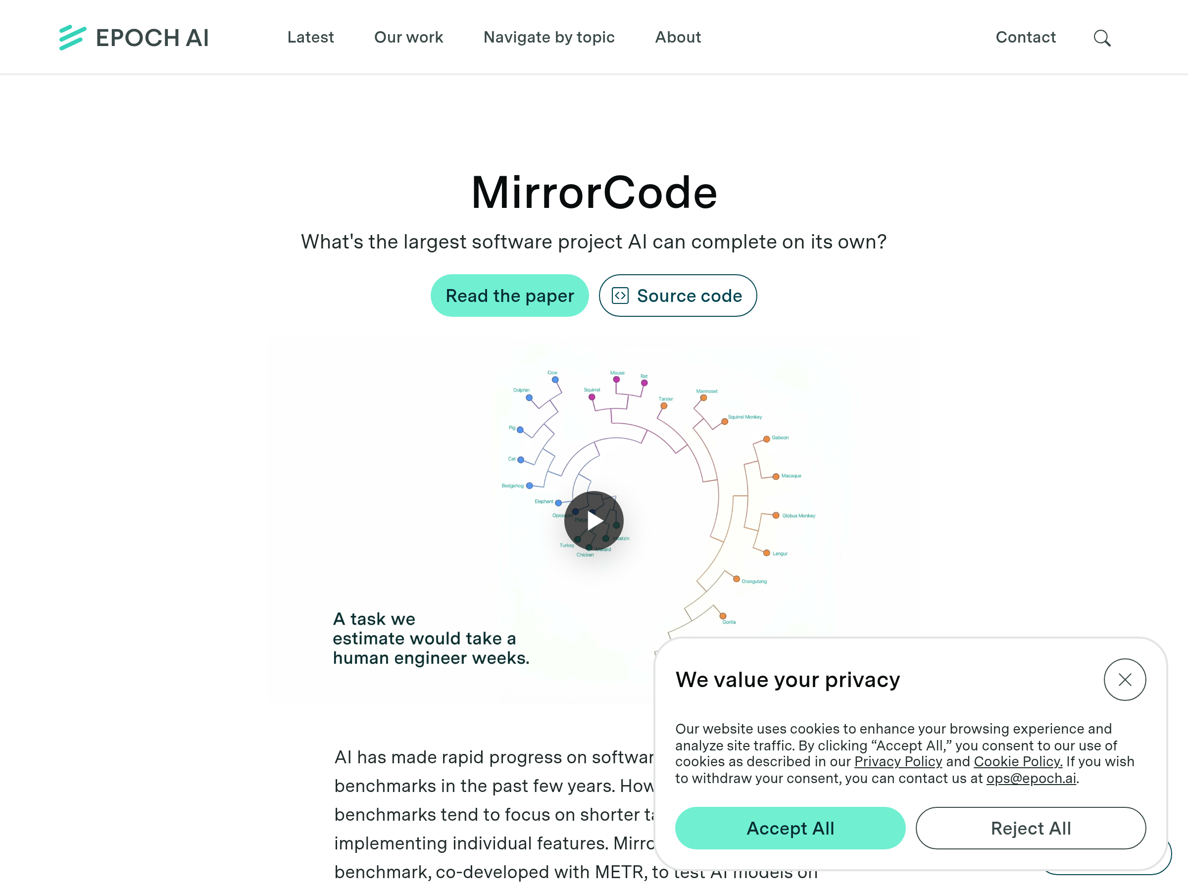 Screenshot of MirrorCode website
