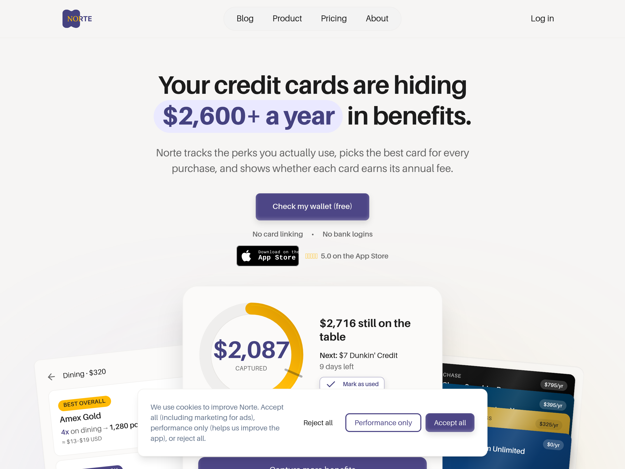 Screenshot of Norte website