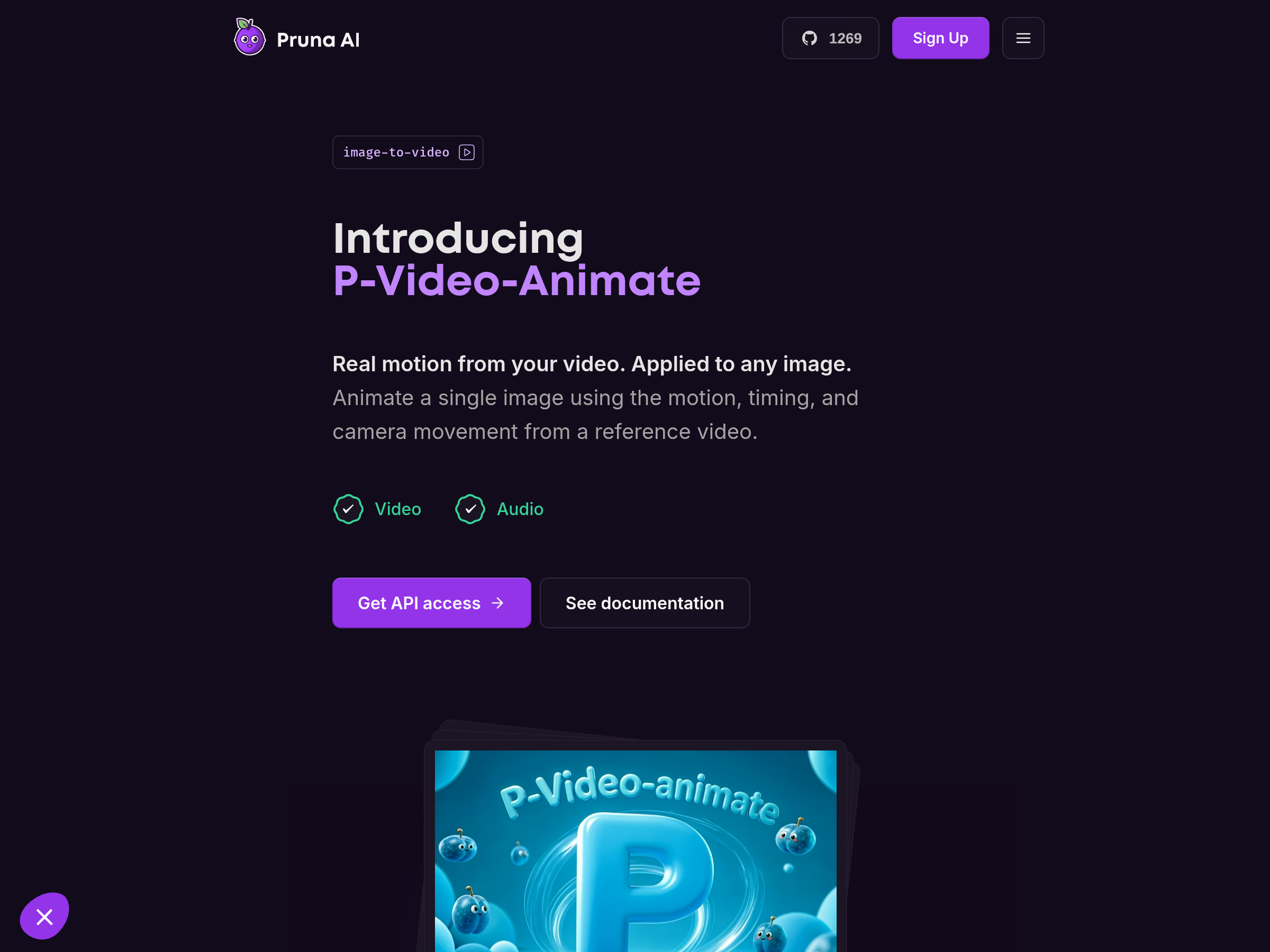Screenshot of P-Video-Animate website