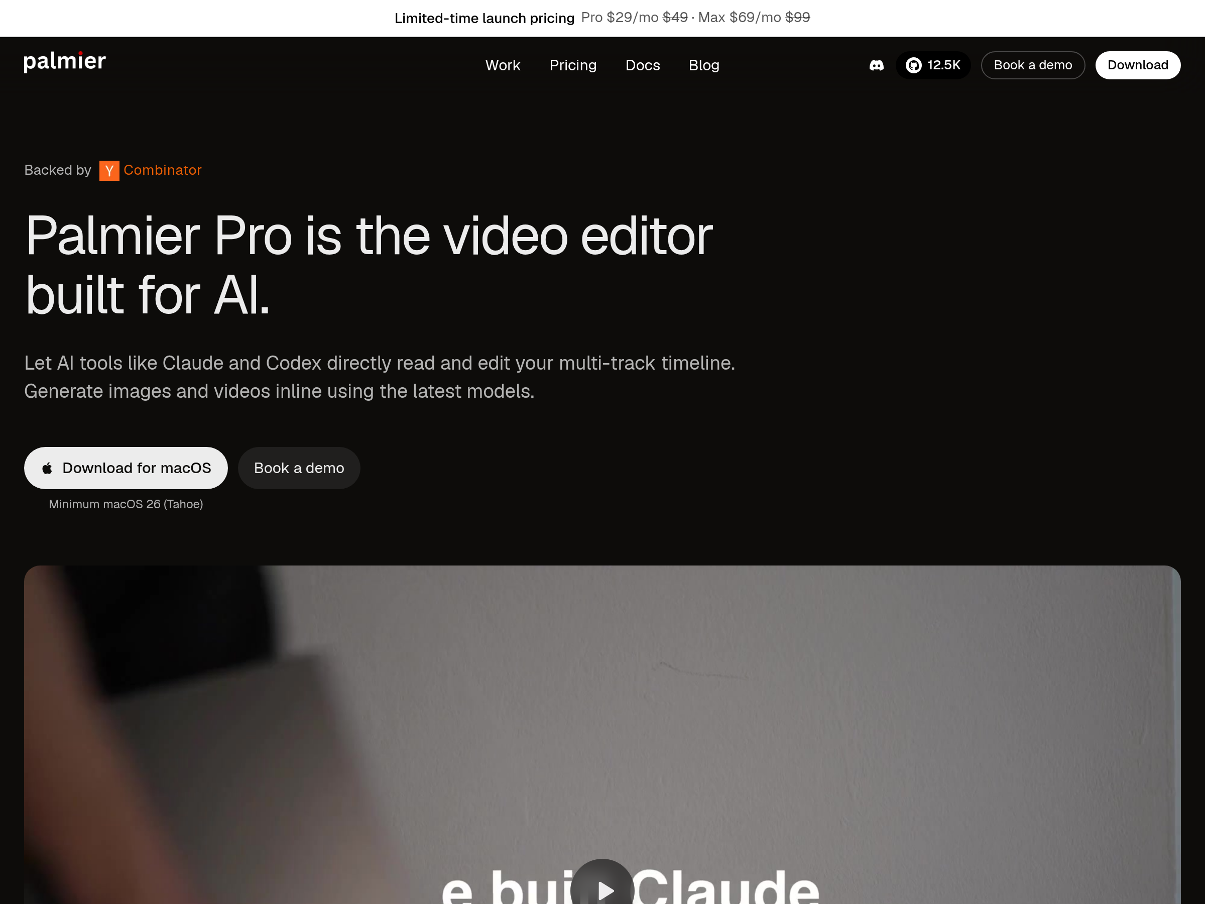 Screenshot of Palmier Pro website
