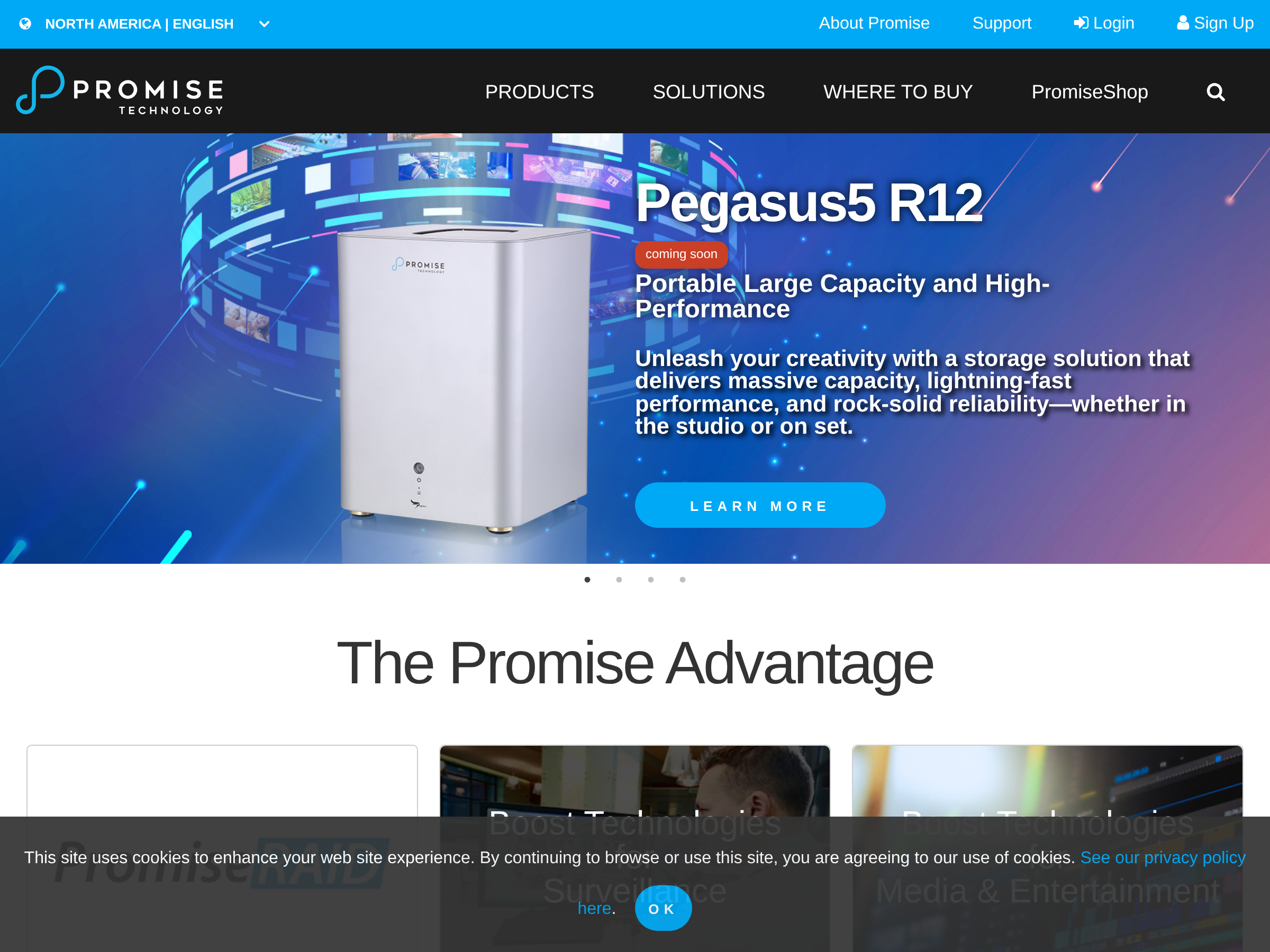 Screenshot of Promise website