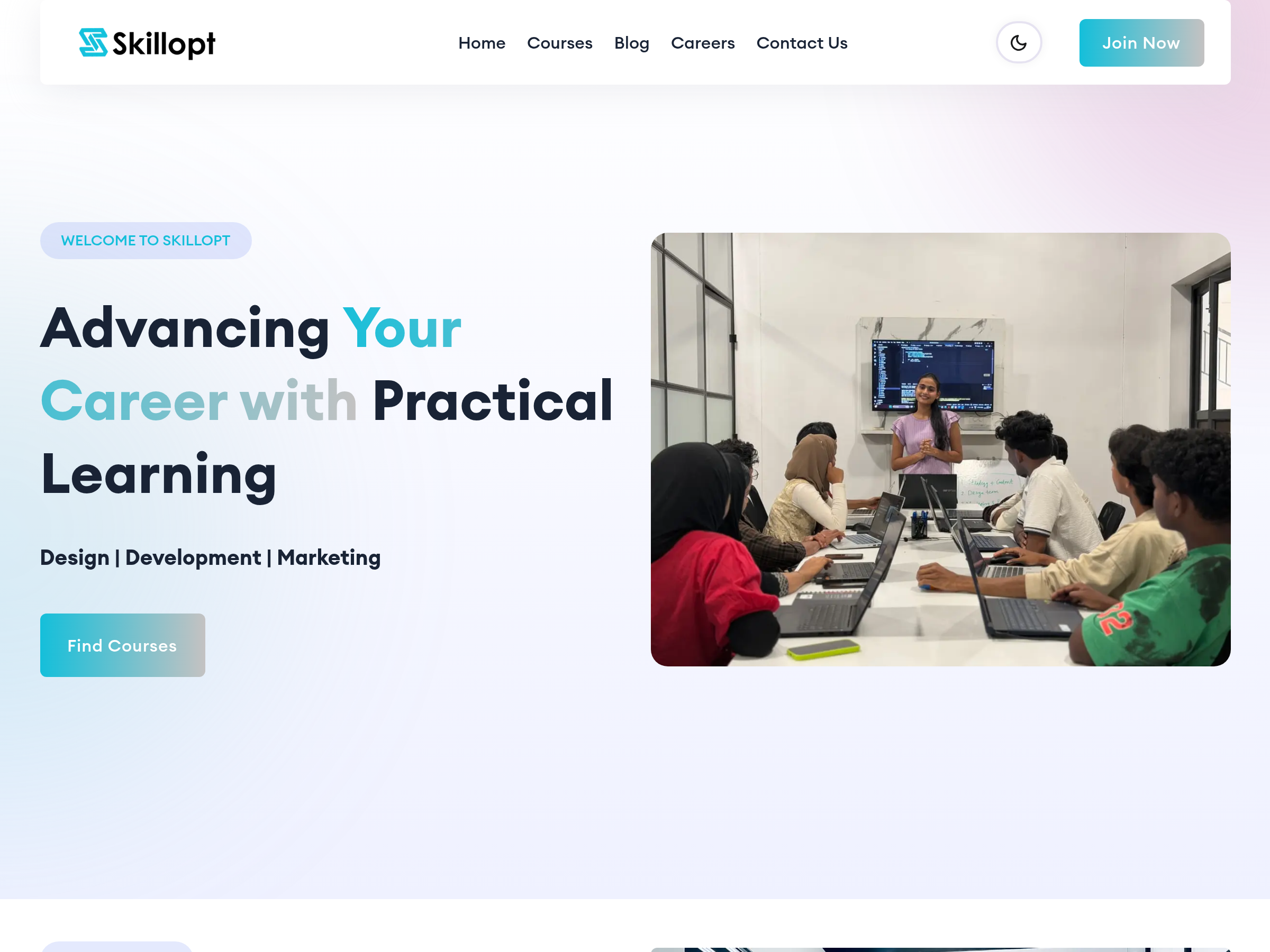 Screenshot of SkillOpt website