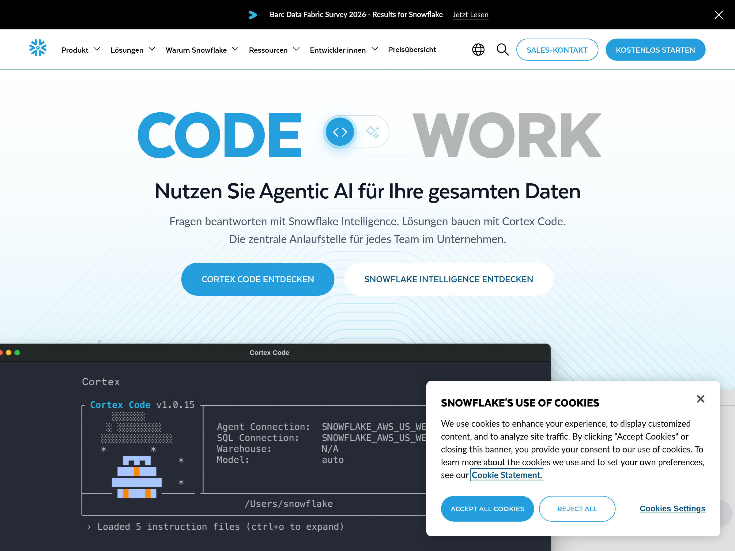 Screenshot of Snowflake website