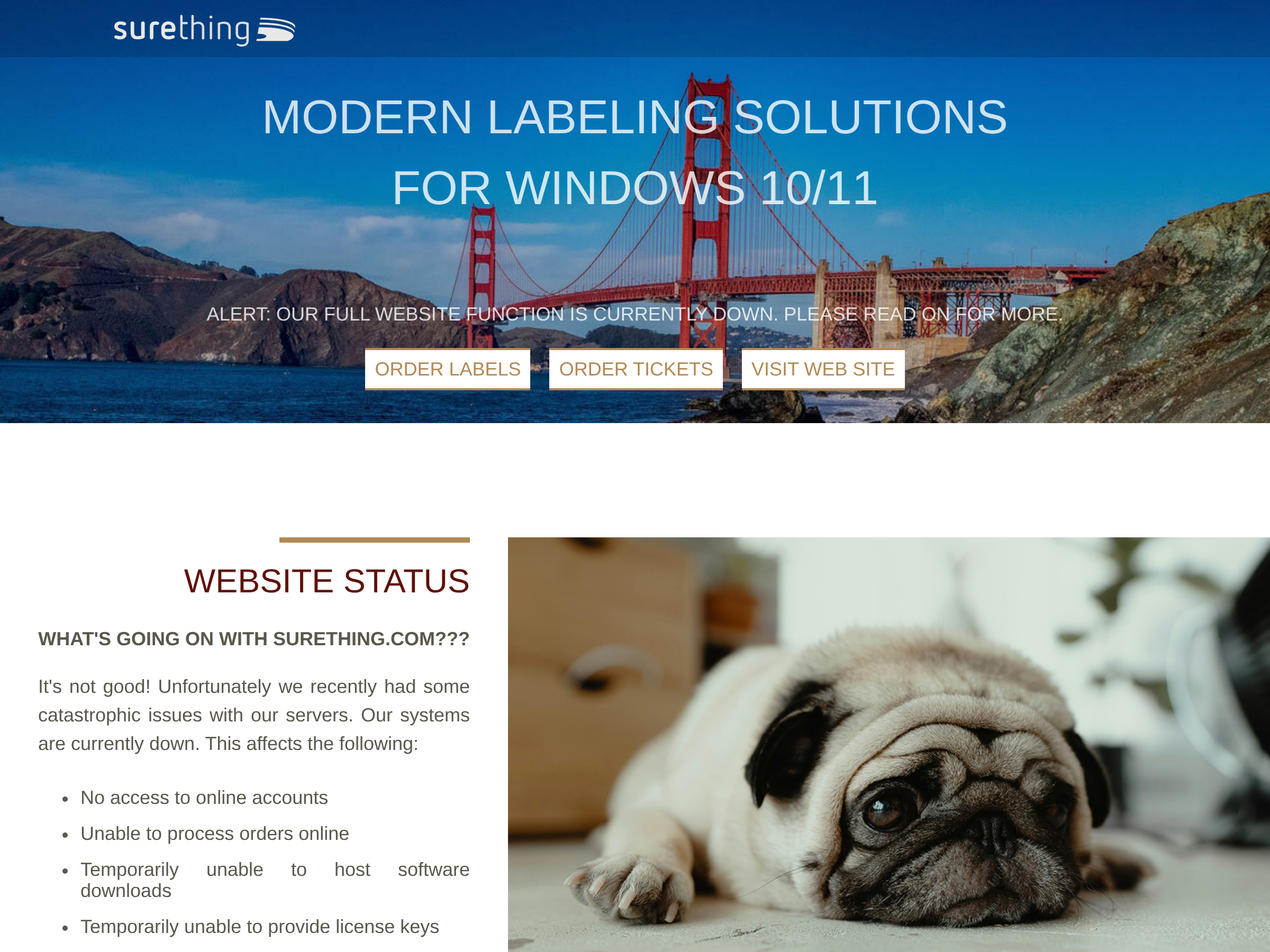 Screenshot of SureThing website