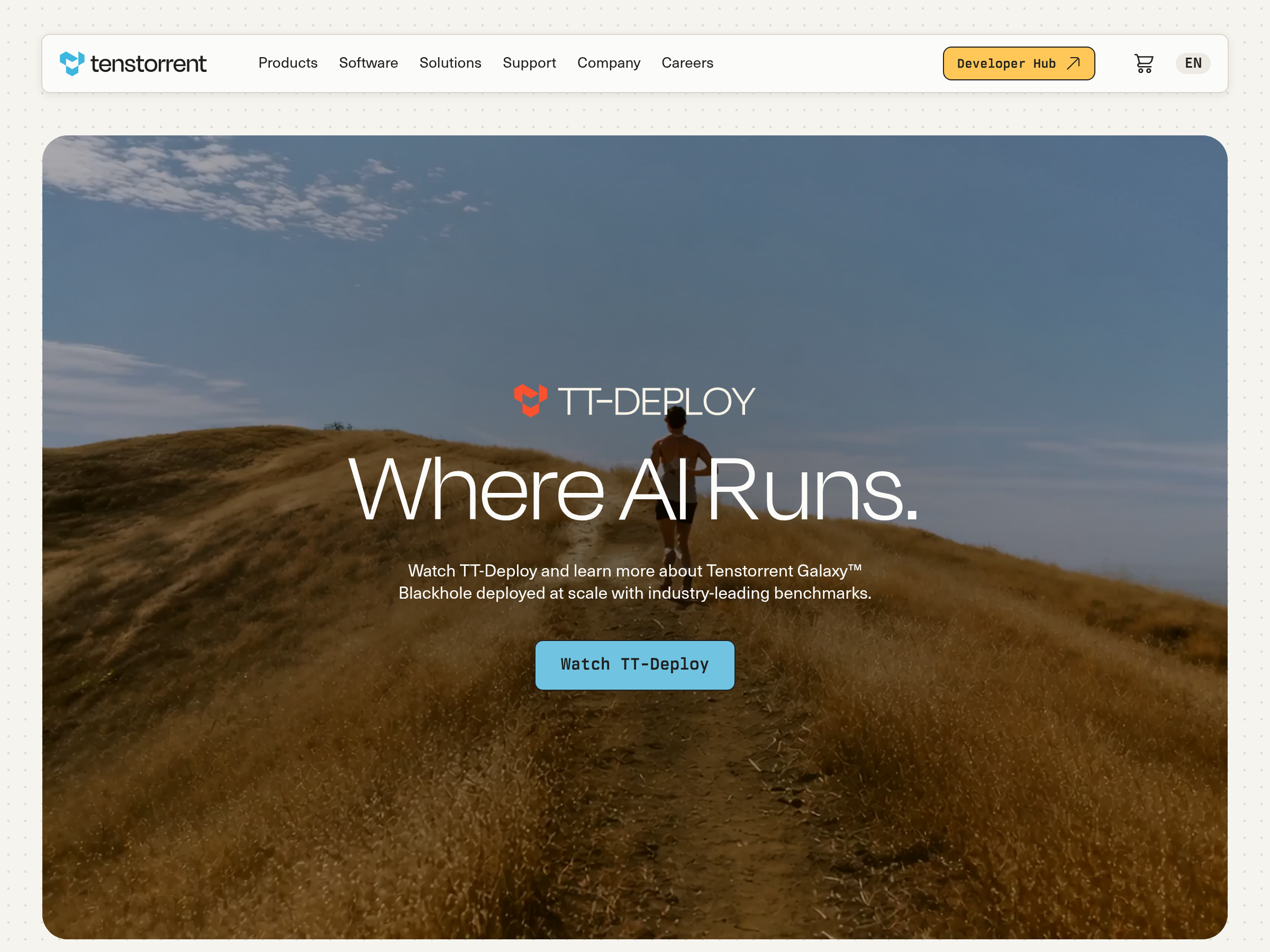 Screenshot of Tenstorrent website