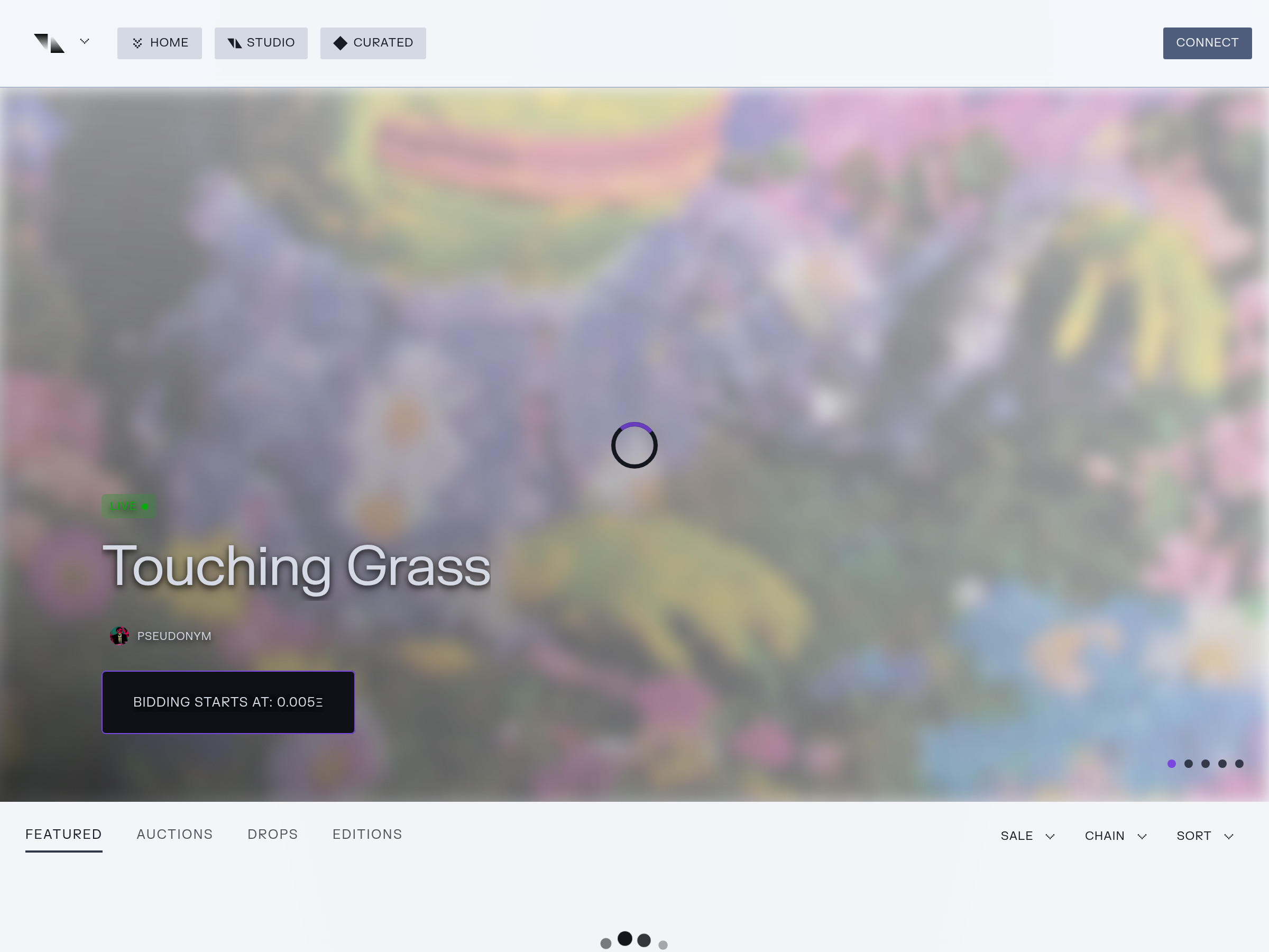 Screenshot of Transient Labs website